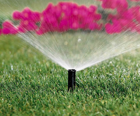system-start-up Sprinkler Installation