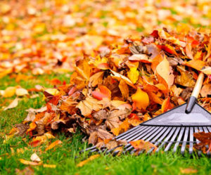 sprinkler system winterization