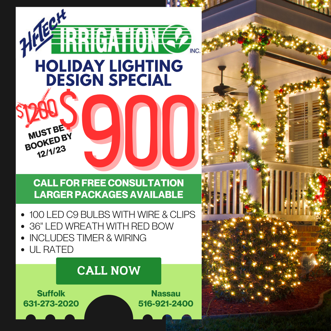 Holiday Lighting