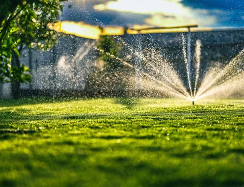 Nassau County Lawn Sprinkler Systems & Lighting