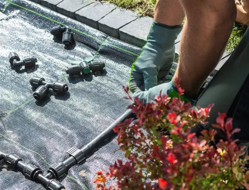 Serving Suffolk County, NY for Over 40 Years: Hi-Tech Irrigation’s Expert Sprinkler and Landscape Lighting Services