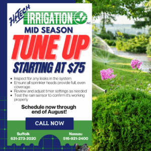 Mid Season Tune Up Starting at $75