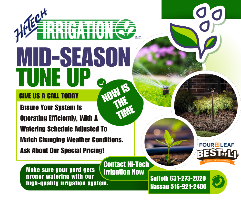 Hi-Tech - Pop Up Mid Season Check Up